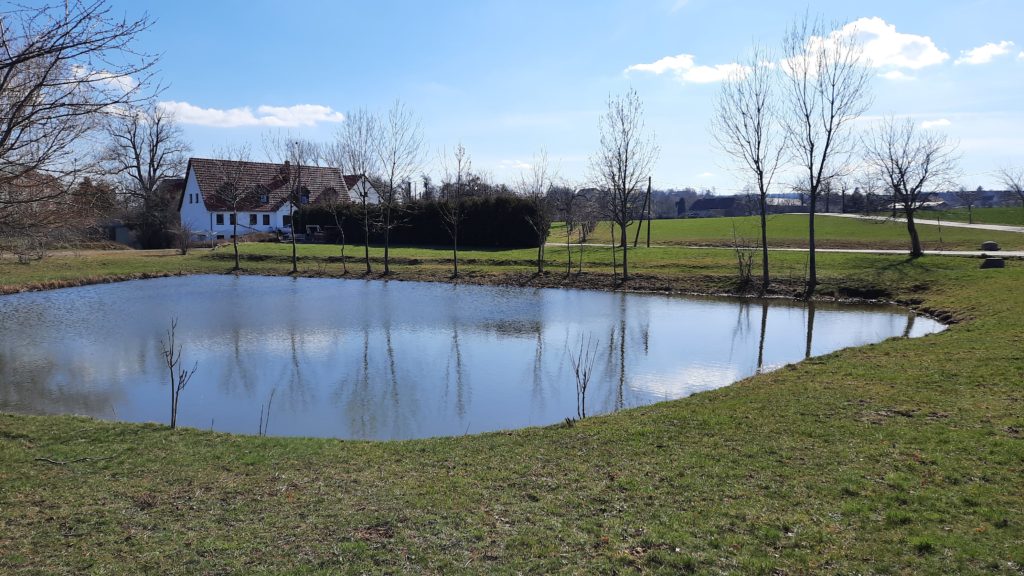 Teich an der Wilden Sau