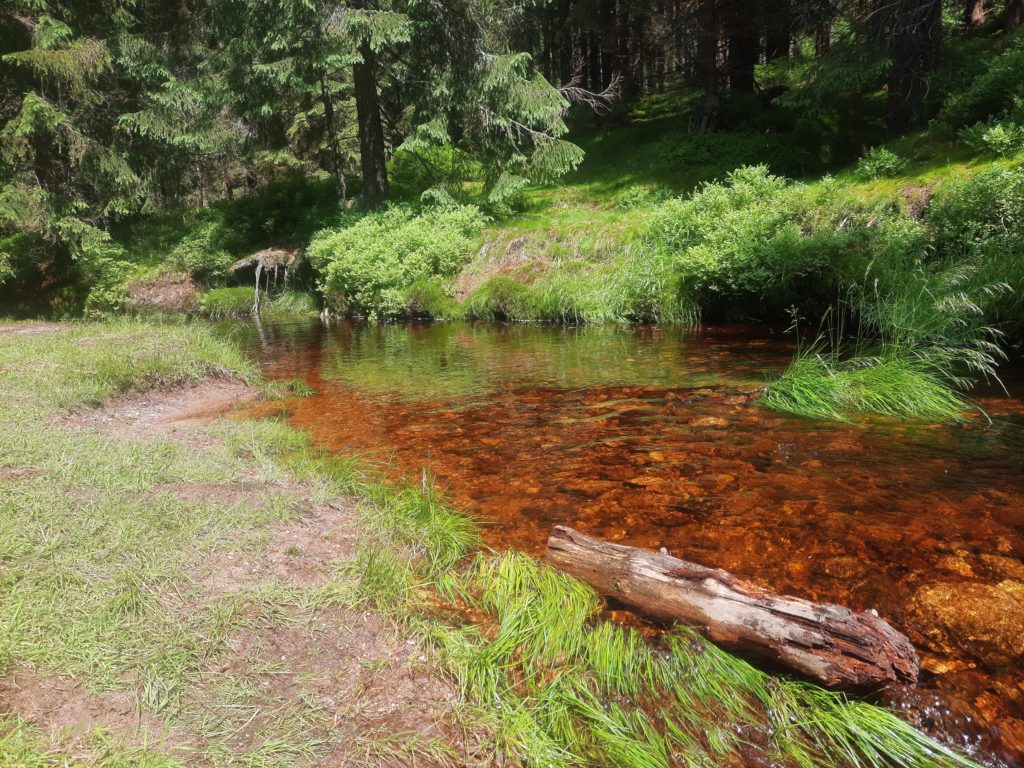 Isergebirge - Wysoka Kopa