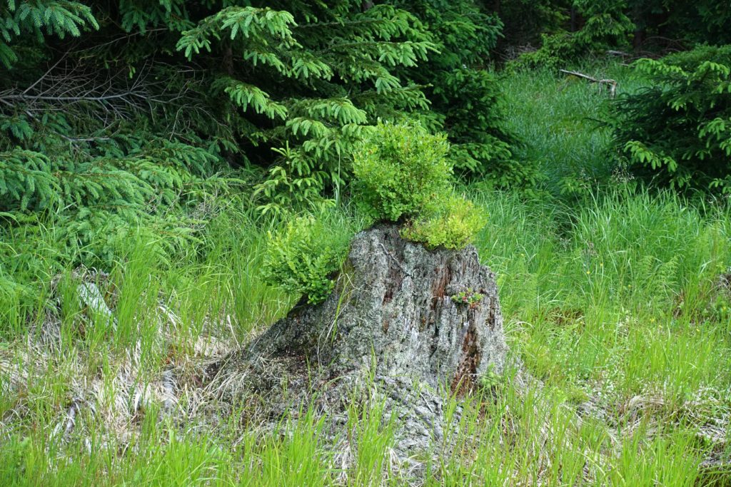 Isergebirge - Wysoka Kopa